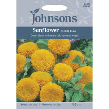 Johnsons Seeds - Pictorial Pack - Flower - Sunflower Teddy Bear - 40 Seeds