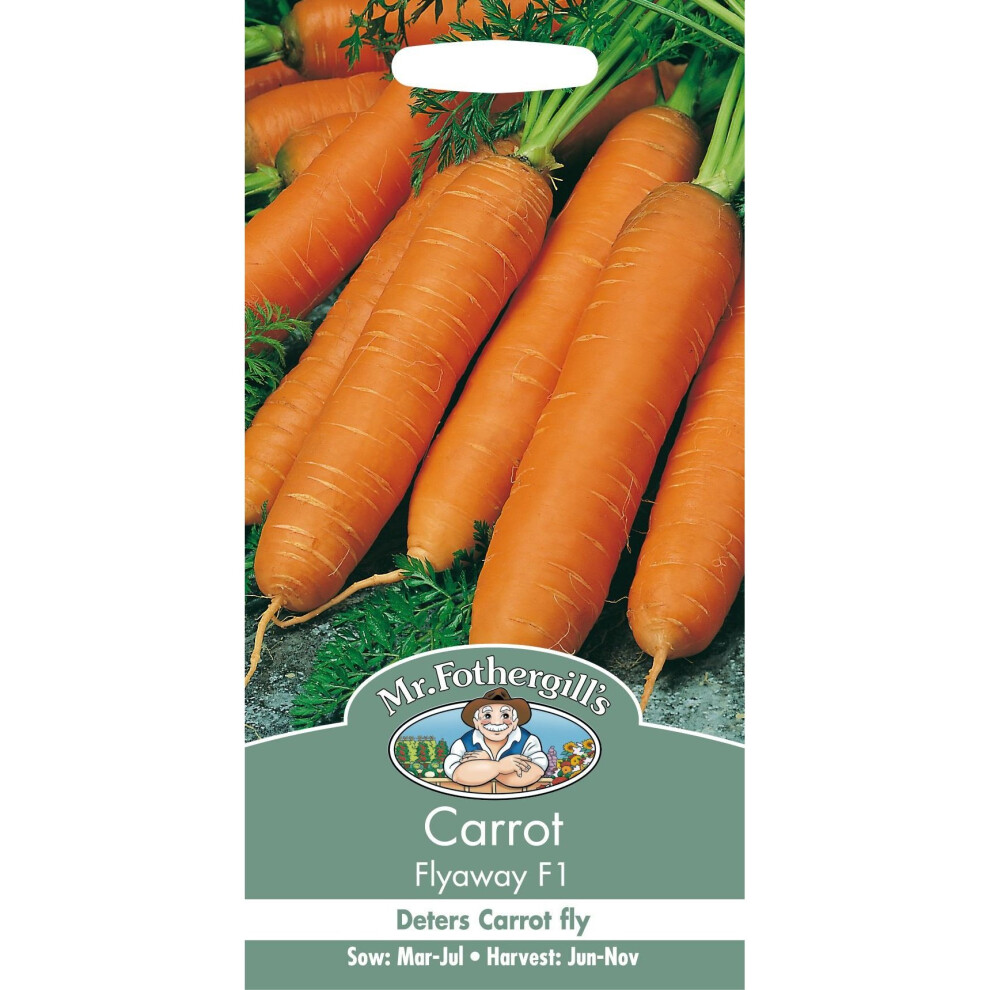 Mr Fothergill's - Pictorial Packet - Vegetable - Carrot - Flyaway F1 - 500 Seeds