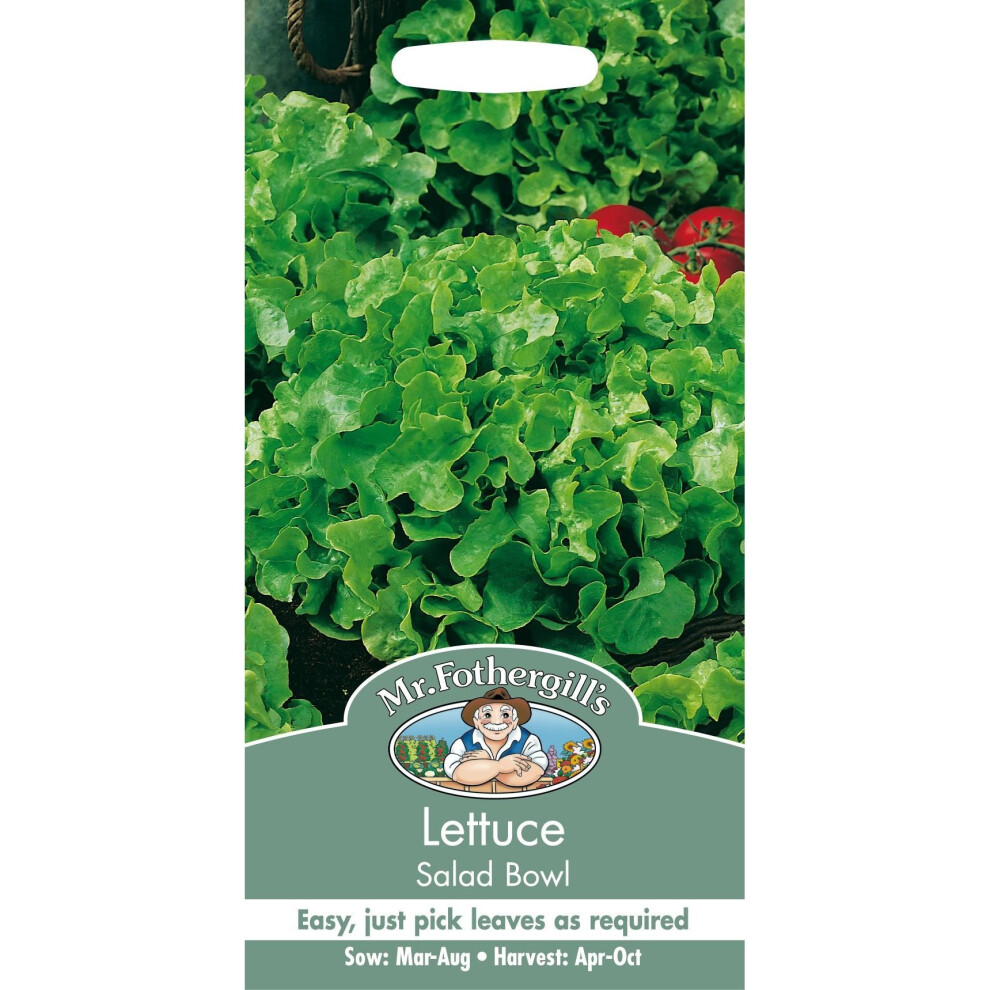 Mr Fothergills - Pictorial Packet - Vegetable - Lettuce Salad Bowl - 1250 Seeds