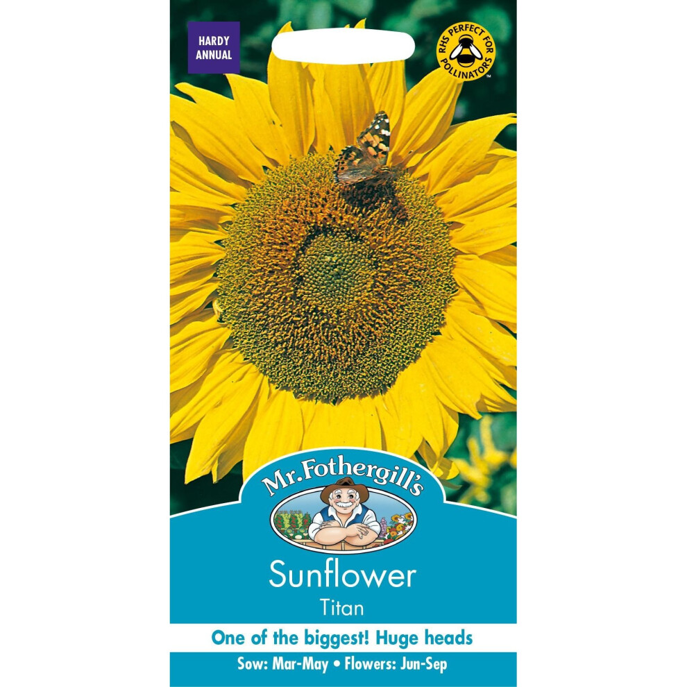 Mr Fothergill's - Pictorial Packet - Flower - Sunflower Titan - 25 Seeds
