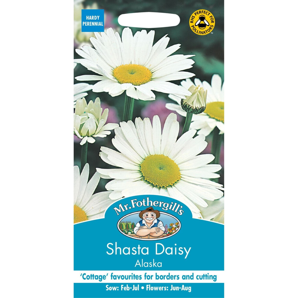 Mr Fothergills - Pictorial Packet - Flower - Shasta Daisy Alaska Shasta  - 750 Seeds