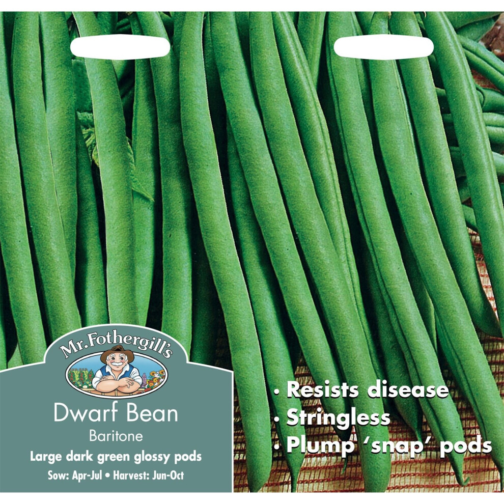 Mr Fothergill's - Pictorial Packet - Vegetable - Dwarf Bean Baritone - 100 Seeds