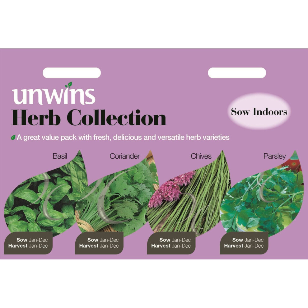 Unwins Pictorial Packet - Herb Collection - 1000 Seeds
