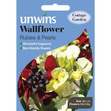 Unwins Pictorial Packet - Wallflower Rubies & Pearls - 30 Seeds