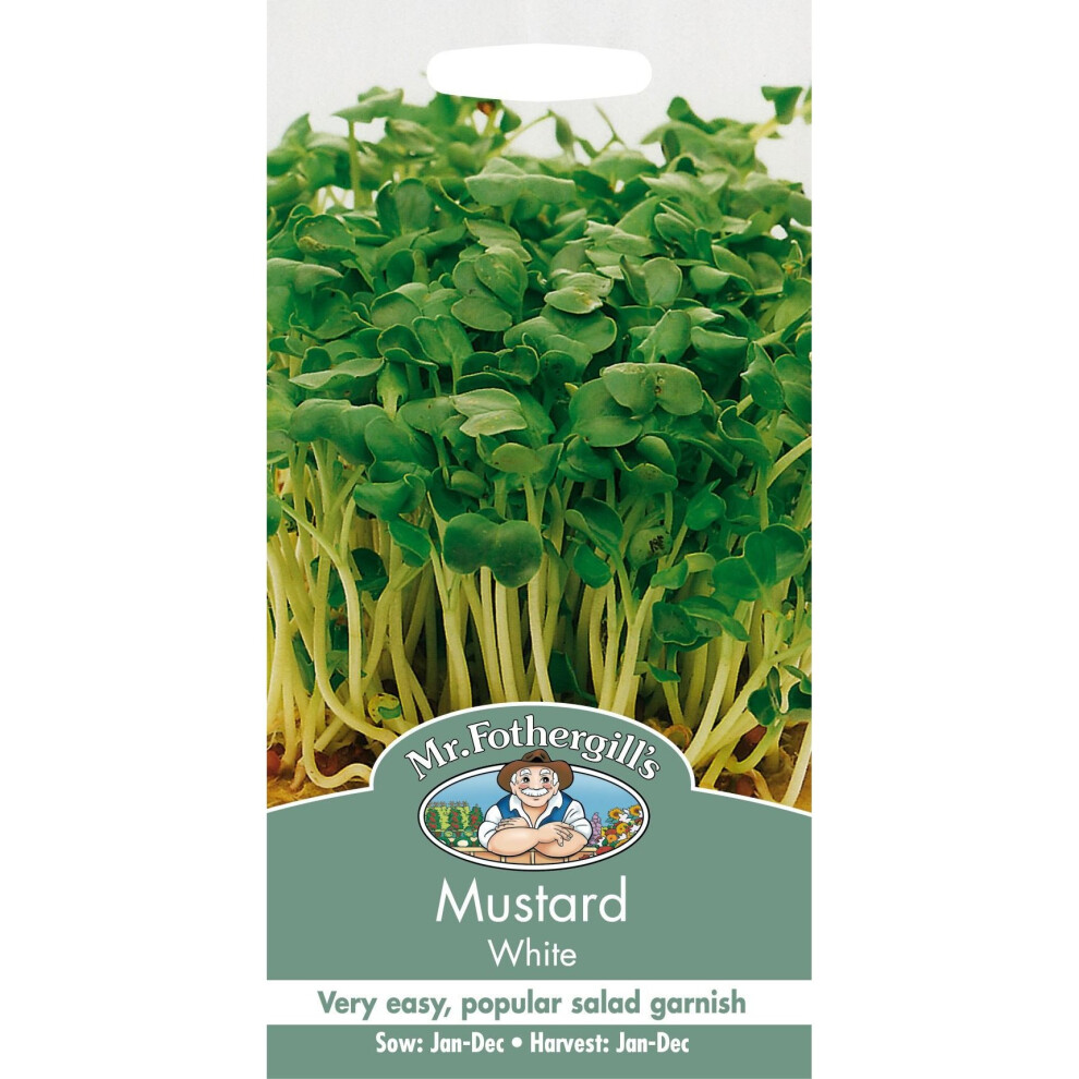 Mr Fothergill's - Pictorial Packet - Salad - Mustard - 2500 Seeds White
