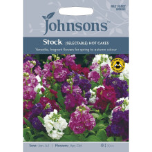 Johnsons Seeds - Pictorial Pack - Flower - Stock (Selectable) Hot Cakes - 50 Seeds