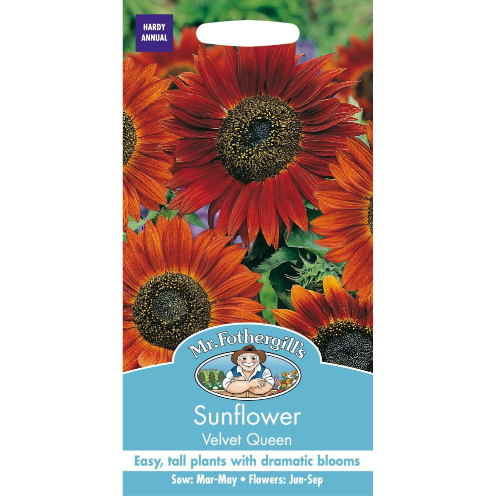 Mr Fothergill's - Pictorial Packet - Flower - Sunflower Velvet Queen - 30 Seeds Red