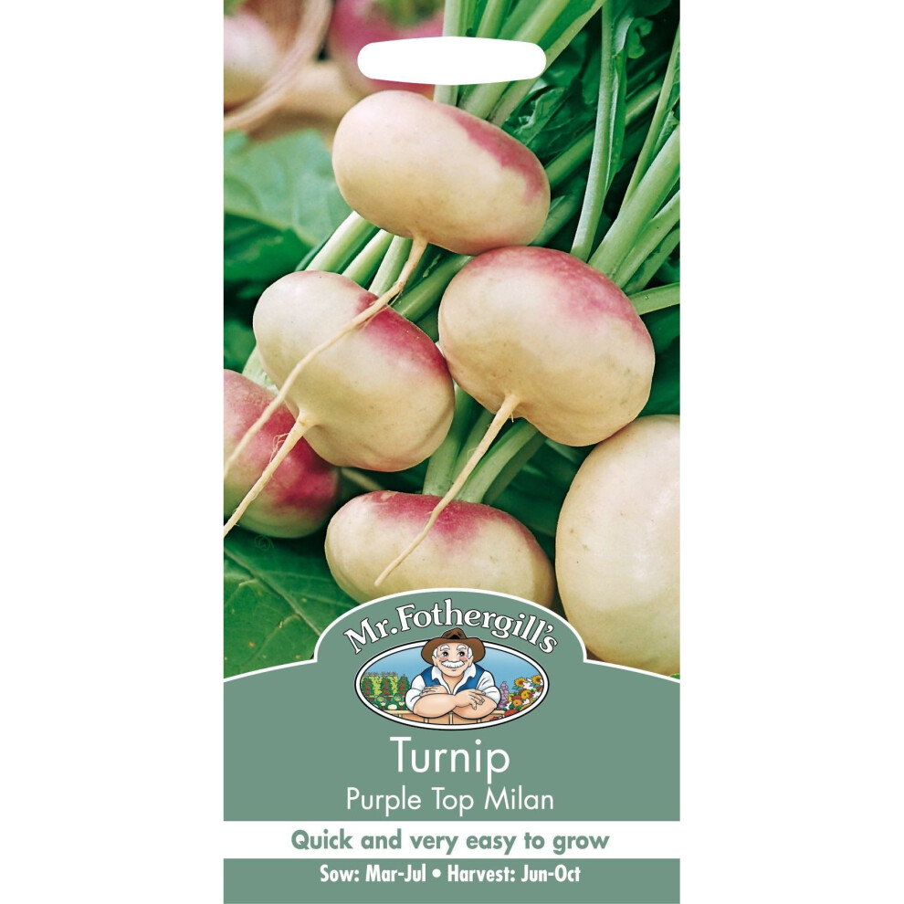 Mr Fothergill's - Pictorial Packet - Vegetable - Turnip Top Milan - 1750 Seed Purple