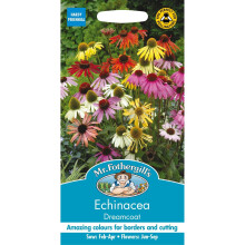 Mr Fothergills - Pictorial Packet - Flower - Echinacea Dreamcoat - 20 Seeds