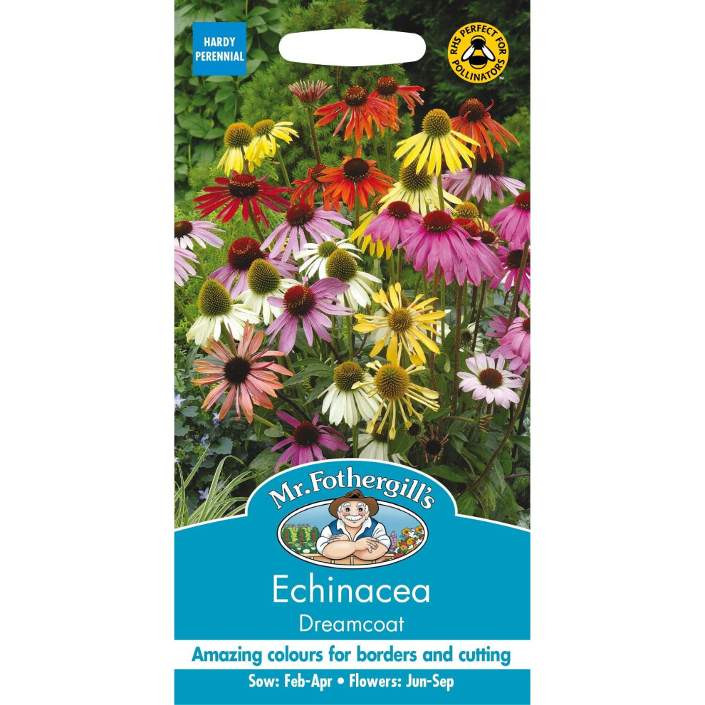 Mr Fothergill's - Pictorial Packet - Flower - Echinacea Dreamcoat - 20 Seeds