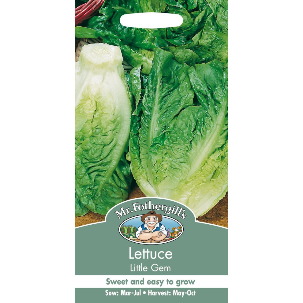 Mr Fothergill's - Pictorial Packet - Vegetable - Lettuce Little Gem - 1250 Seeds
