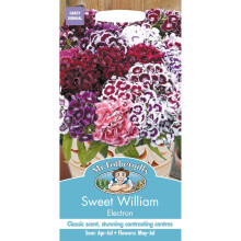 Mr Fothergills - Pictorial Packet - Flower - Sweet William Electron - 200 Seeds