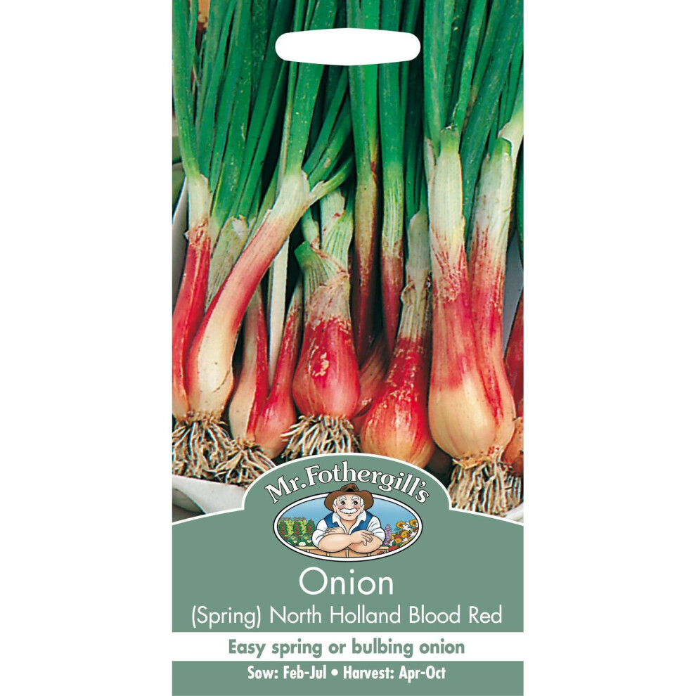 Mr Fothergill's - Pictorial Packet - Vegetable - Spring Onion North Holland Blood Red - 350 Seeds