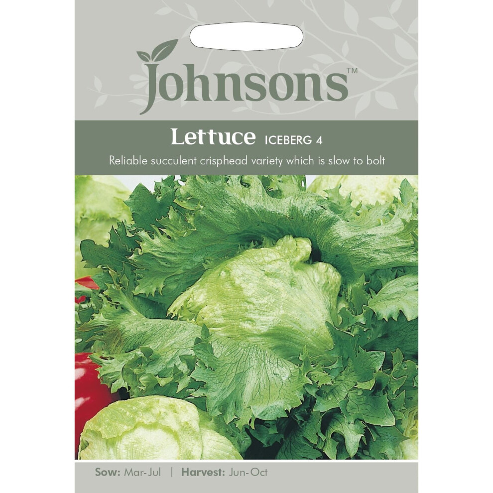 Johnsons Seeds - Pictorial Pack - Vegetable - Lettuce Iceberg 4 - 1500 Seeds