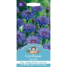 Mr Fothergills - Pictorial Packet - Flower - Cornflower Blue Ball - 250 Seeds