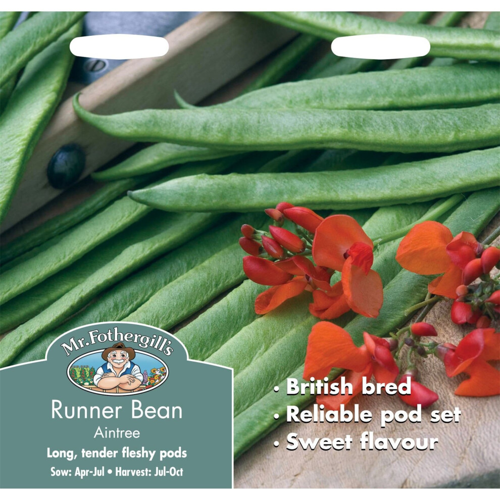 Mr Fothergills - Pictorial Packet - Vegetable - Runner Bean Aintree - 45 Seeds