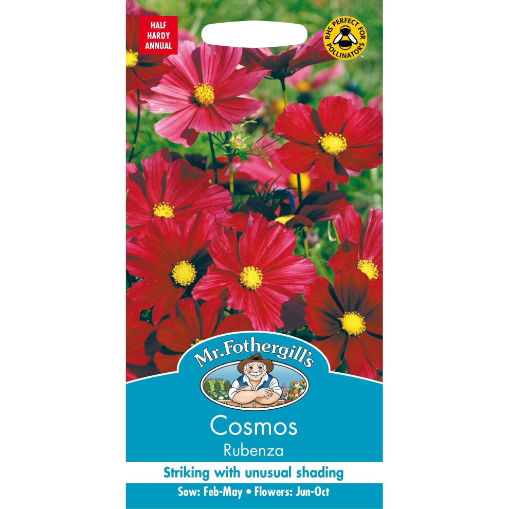 Mr Fothergills - Pictorial Packet - Flower - Cosmos Rubenza - 30 Seeds