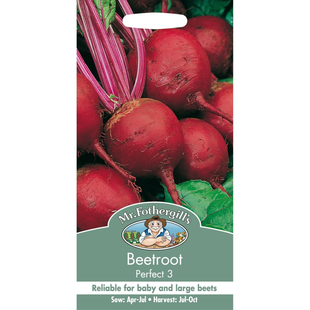 Mr Fothergills - Pictorial Packet - Vegetable - Beetroot Perfect 3 - 275 Seed