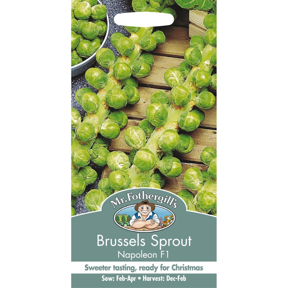 Mr Fothergill's - Pictorial Packet - Vegetable - Brussels Sprout Napoleon F1 - 40 Seed