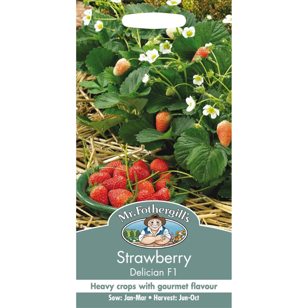 Mr Fothergills Fruit Seeds Strawberry Delician F1 Great Flavour