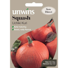 Unwins Pictorial Packet - Squash Uchiki Kuri - 8 Seeds