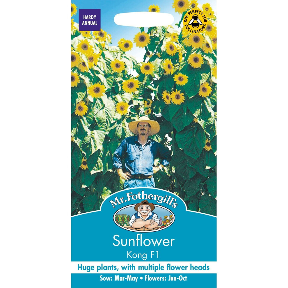 Mr Fothergills - Pictorial Packet - Flower - Sunflower Kong F1 - 20 Seeds