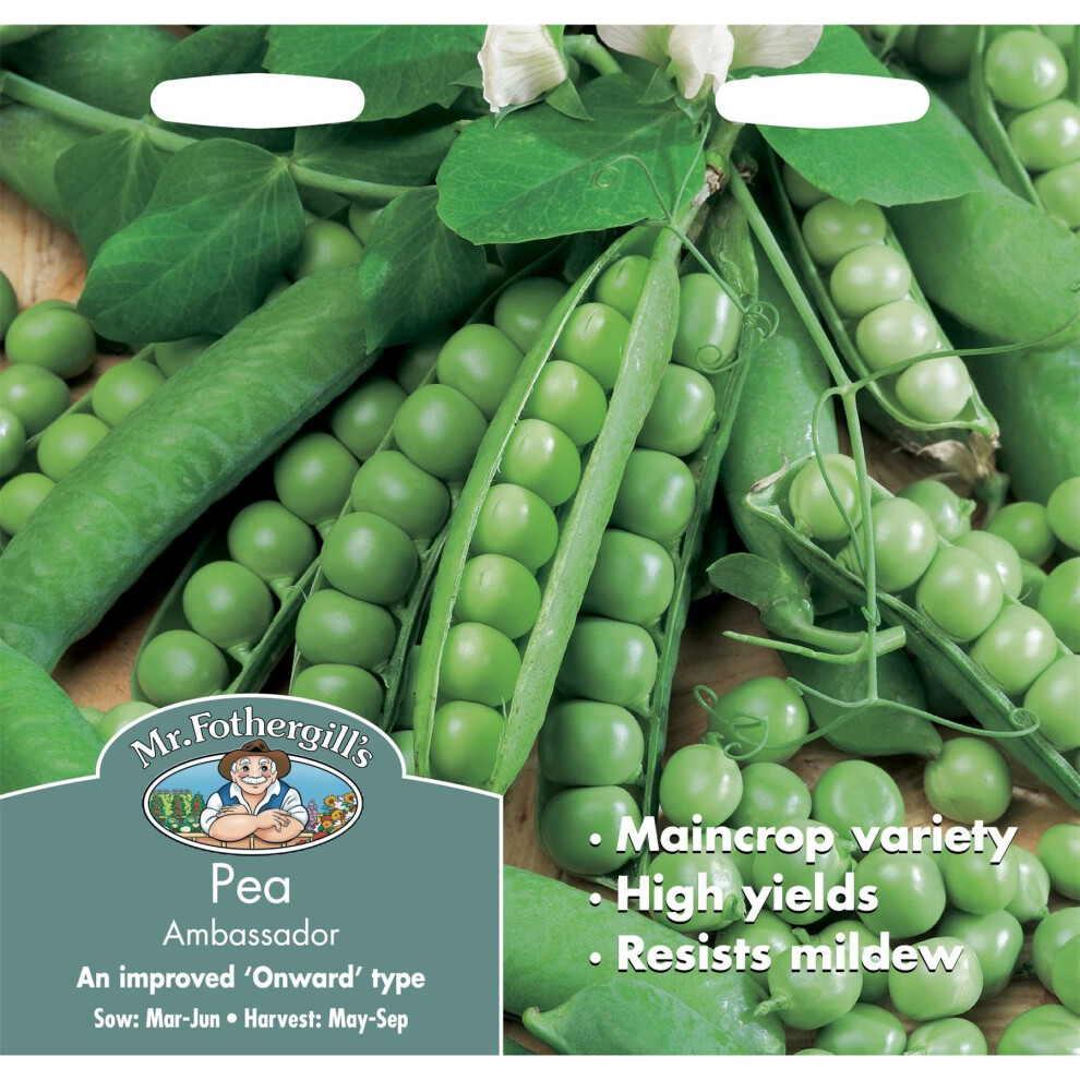 Mr Fothergill's - Pictorial Packet - Vegetable - Pea Ambassador - 325 Seeds