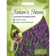 Unwins Pictorial Packet - Natures Heaven Lavender Munstead Strain - 150 Seeds