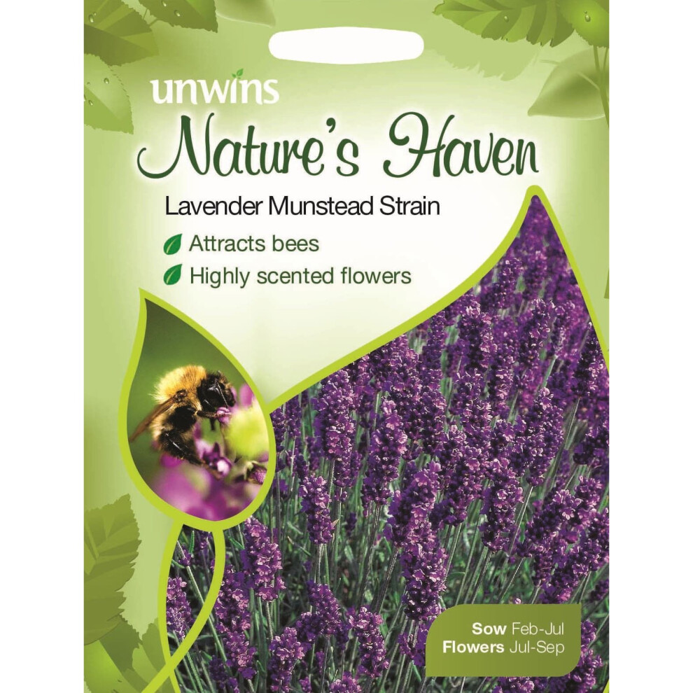Unwins Pictorial Packet - Natures Heaven Munstead Strain - 150 Seeds Lavender