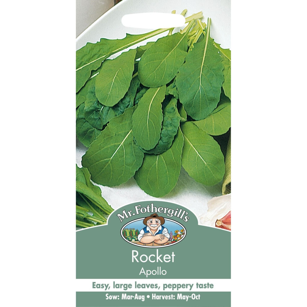 Mr Fothergill's - Pictorial Packet - Vegetable - Rocket Apollo - 500 Seeds