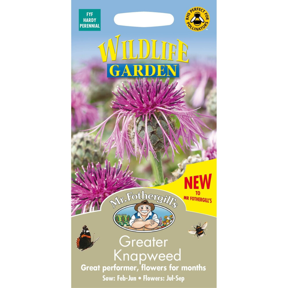 Mr Fothergills - Pictorial Packet - Wildflower - Greater Knapweed - 100 Seeds