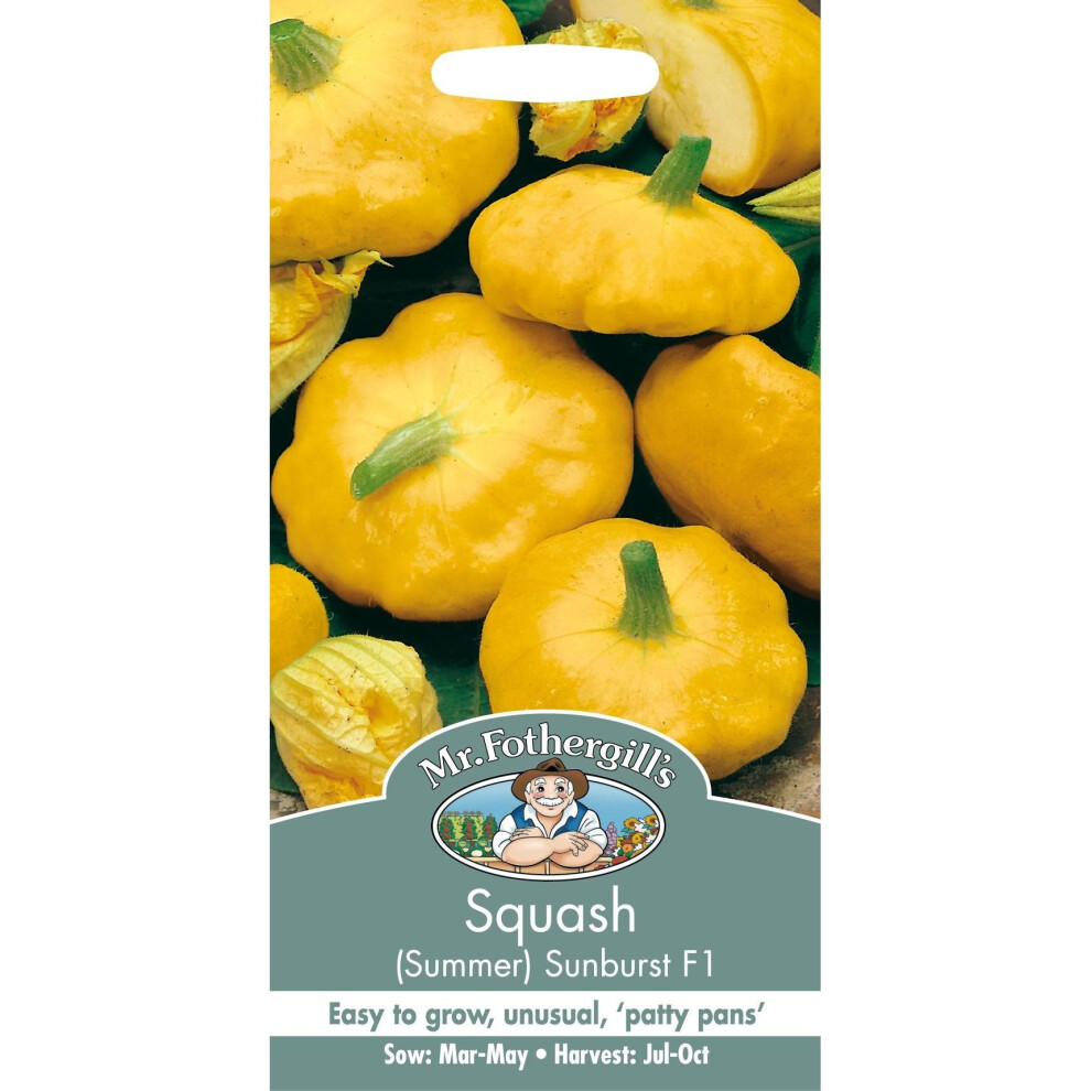 Mr Fothergill's - Pictorial Packet - Vegetable - Squash Sunburst F1 - 10 Seeds