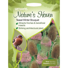 Unwins Pictorial Packet - Natures Heaven Teasel Winter Bouquet - 200 Seeds