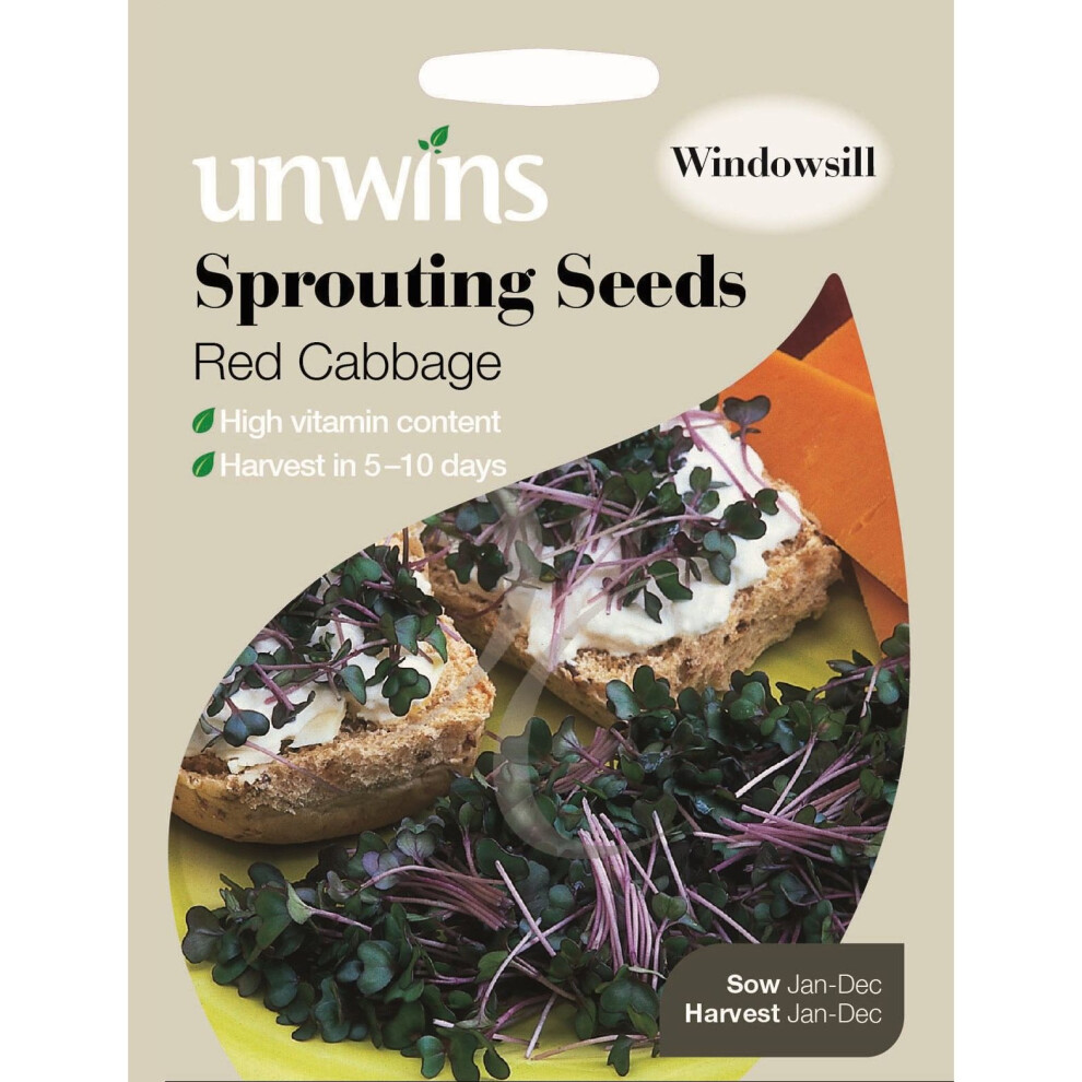 Unwins Pictorial Packet - Sprouting Seeds Red Cabbage - 3000 Seeds