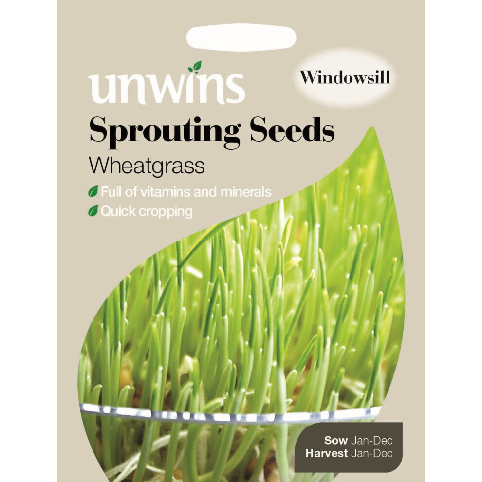 Unwins Pictorial Packet - Sprouting Seeds Wheatgrass - 400 Seeds