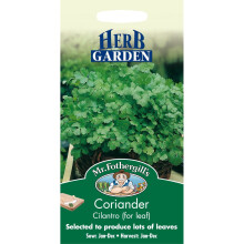 Mr Fothergills - Pictorial Packet - Herb - Coriander Cilantro - 150 Seeds