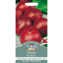 Mr Fothergills Vegetable Seeds Onion Red Baron Great Flavour High Quality