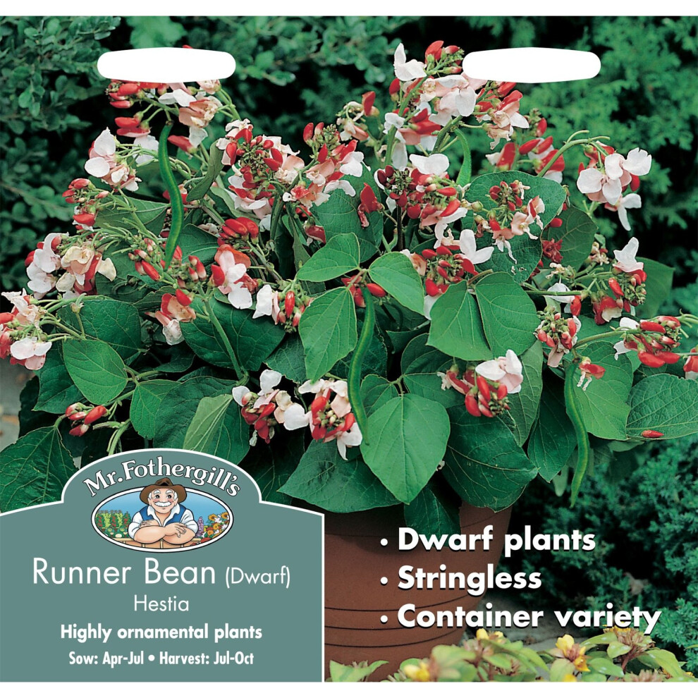 Mr Fothergills - Pictorial Packet - Vegetable - Runner Bean Hestia Dwarf - 45 Seeds