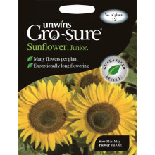 Unwins Grow Your Own Pollen Free Junior F1 Sunflower Flower Seeds