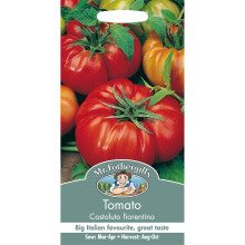 Tomato Costoluto Fiorentino - Italian Beefsteak, Large Ribbed Fruits, 50 Seeds (Mr Fothergills Pictorial Packet)