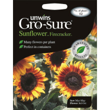 Unwins Grow Your Own Dwarf Firecracker Sunflower Flower Seeds