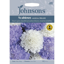 Johnsons Seeds Scabious Musical Prelude - Pictorial Pack, 45 Seeds, Blue/White, Attracts Bees & Butterflies, Ideal Cut Flower Border