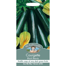 Mr Fothergills - Pictorial Packet - Vegetable - Courgette Black Beauty - 10 Seeds