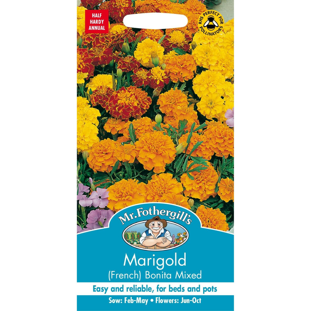 Mr Fothergills - Pictorial Packet - Flower - Marigold (French) Bonita Mixed - 150 Seeds