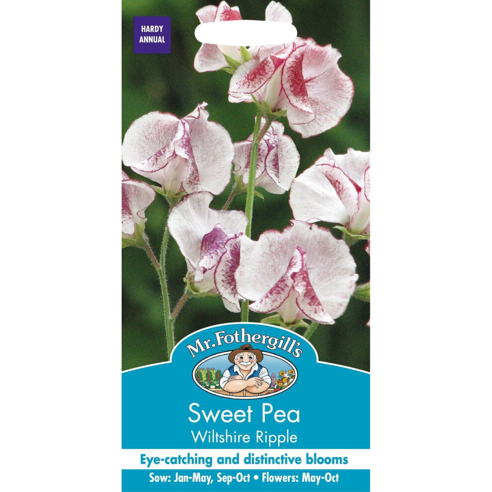 Mr Fothergills - Pictorial Packet - Flower - Sweet Pea - Wiltshire Ripple - 25 Seeds