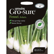 Unwins Pictorial Packet - Fennel Solaris F1 - 40 Seeds