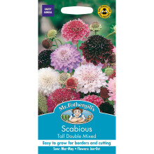 Mr Fothergills - Pictorial Packet - Flower - Scabious Tall Double Mixed - 50 Seeds