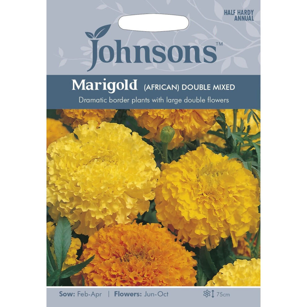 Johnsons Seeds - Pictorial Pack - Flower - Marigold (African) Double Mixed - 100 Seeds