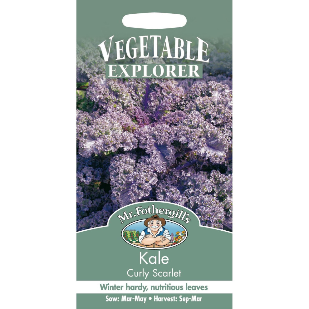 Mr Fothergill's - Pictorial Packet - Vegetable - Kale Curly Scarlet - 250 Seeds