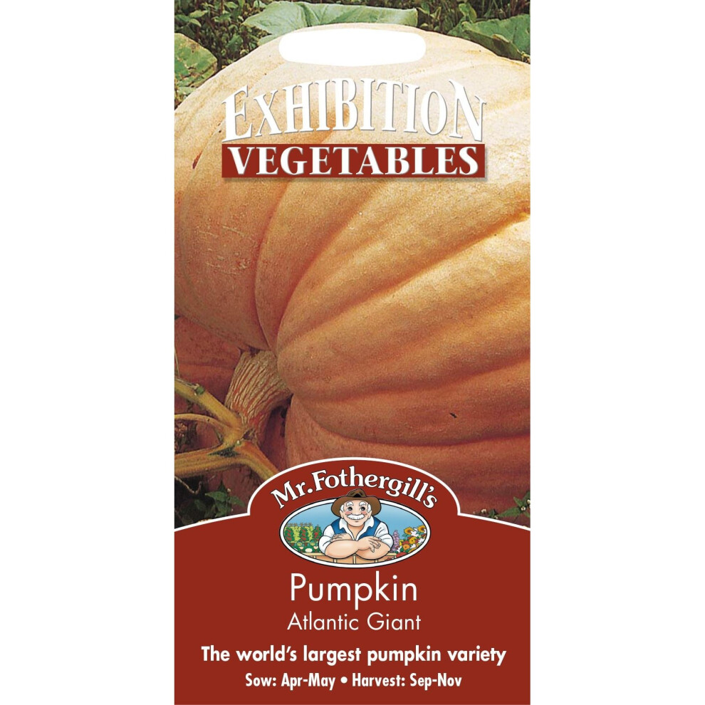 Mr Fothergill's - Pictorial Packet - Vegetable - Pumpkin Atlantic Giant - 10 Seeds